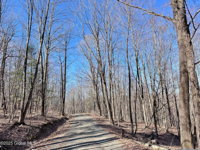 L22 Ryan Rd Greenwich, NY 12834