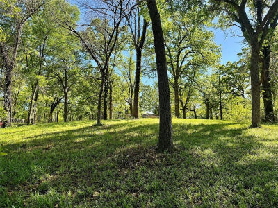 0 Elaine Dr Mabank, TX 75156