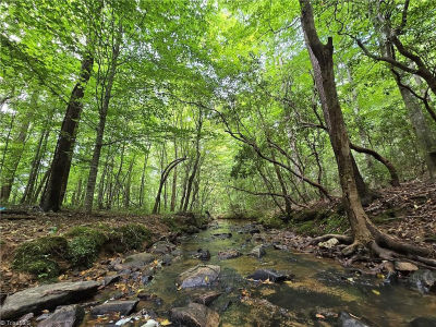 0 Boone Farm Rd Asheboro, NC 27205