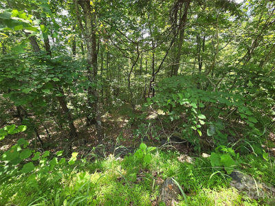 0 Pinnacle Pkwy Union Mills, NC 28167