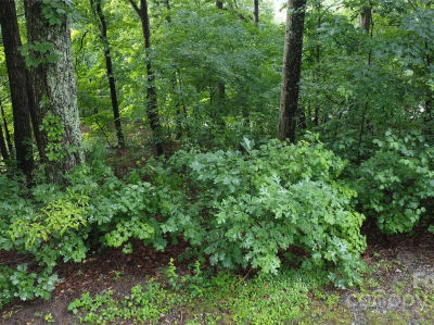 46 Hemlock Trl N Columbus, NC 28722