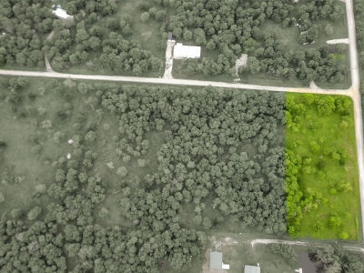 TRACT 4 SW County Road 2397 Wortham, TX 76693