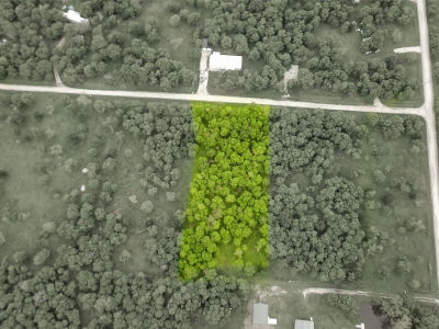 TRACT 2 SW County Road 2397 TRACT 2 Wortham, TX 76693