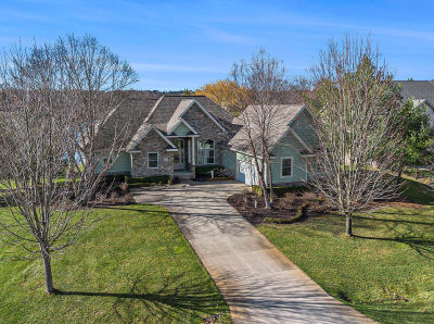 11325 Killarney Dr Stanwood, MI 49346