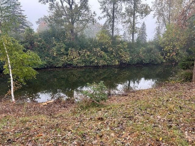 7125 Holiday Dr Stanwood, MI 49346