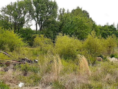 919 Ridge Rd El Paso, AR 72045