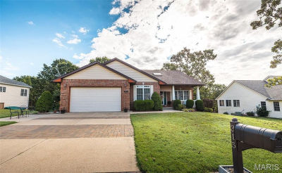 315 Bobby Dale Dr Waynesville, MO 65583