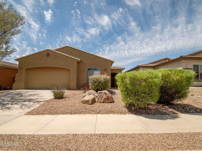 12579 N New Reflection Dr Marana, AZ 85658