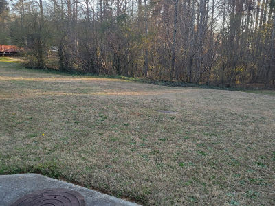 3134 Manorside Way Snellville, GA 30039