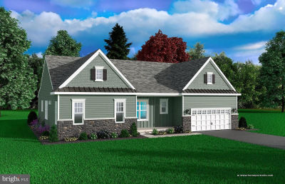 1 Obsidian Dr Felton, DE 19943