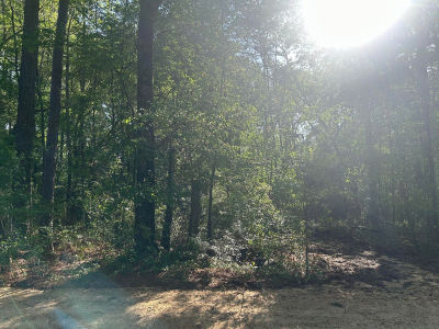 3101 Old Amy Rd Laurel, MS 39443