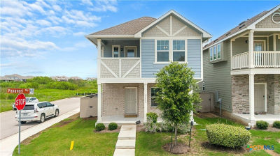 17931 Papaveri Way Pflugerville, TX 78660
