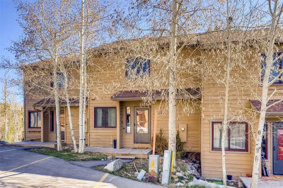 6726 Ryan Gulch Rd APT 6726 Silverthorne, CO 80498