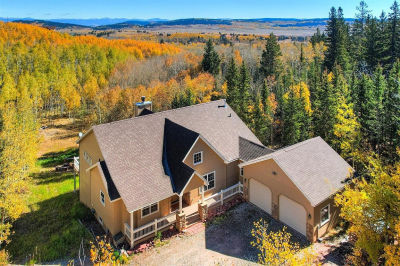 256 Palmer Peak Dr Fairplay, CO 80440
