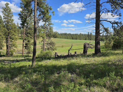 22XX E Miller Rd Spangle, WA 99031