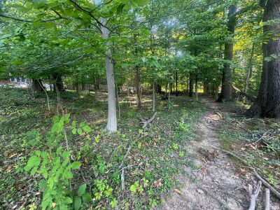 LOT 8 S Highland Ave Bloomington, IN 47401