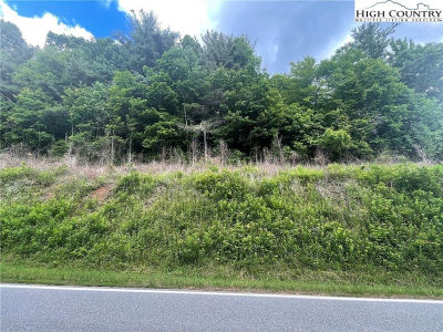 0 Buckeye Hollow Rd Newland, NC 28657
