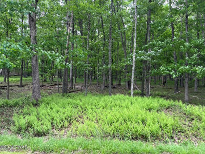 Deer Run Rd Lakeville, PA 18438