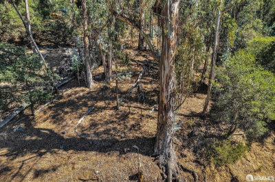 3 Ascot Ct Oakland, CA 94611