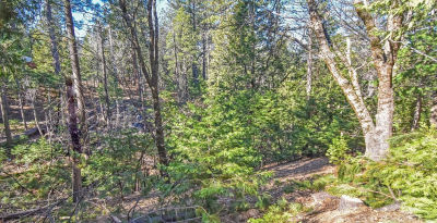 24184 Awahanee Rd Sonora, CA 95370