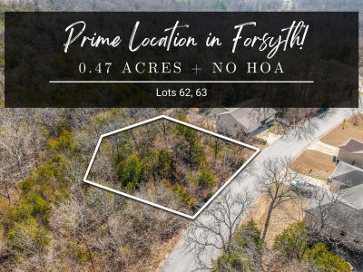Lots 62 & 63 Eagle Dr Forsyth, MO 65653