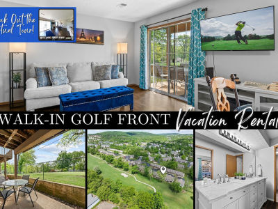 24 Fall Creek Trl APT 2 Branson, MO 65616