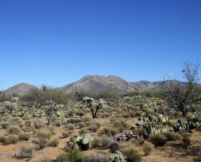 15007 S Carlburg Ave #208 Tucson, AZ 85736