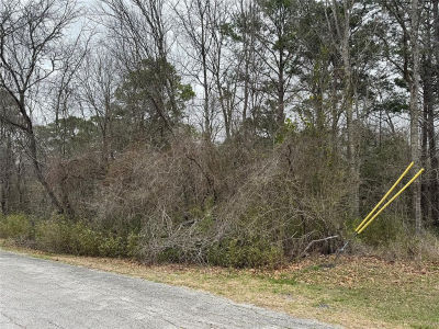 2 Clearwater Cir Coldspring, TX 77331