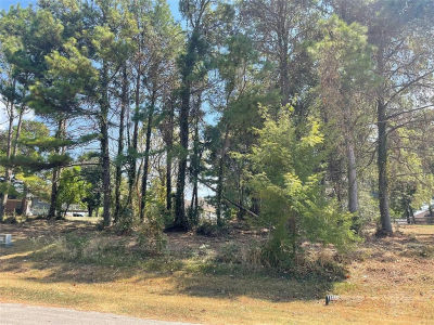 18 & 20 Harbour Point Cir LOT 10-11 Coldspring, TX 77331