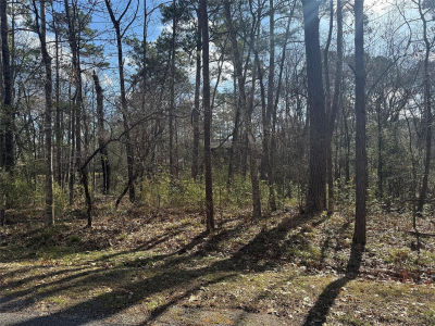 11 & 15 S Pine Harbour Dr Coldspring, TX 77331