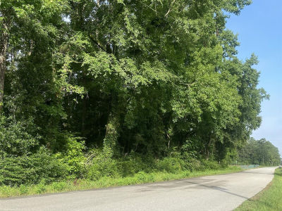 Independence Dr Shepherd, TX 77371