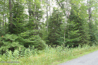 517 E Forest Rd Pocono Lake, PA 18347