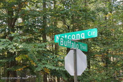 Buffalo Trl #8 Pocono Lake, PA 18347