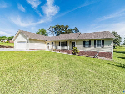 154 Meadow Wood Cir NW Arab, AL 35016