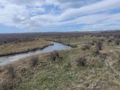 Cottonwood Rye Grass #23-117 Daniel, WY 83115