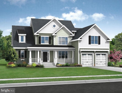 29516 Tree Swallow Dr Millsboro, DE 19966