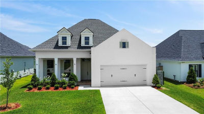 7009 Bald Eagle Cir Madisonville, LA 70447