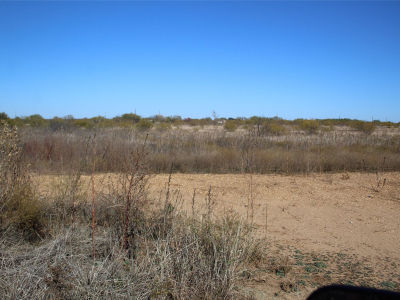 County Road 171 Bangs, TX 76823