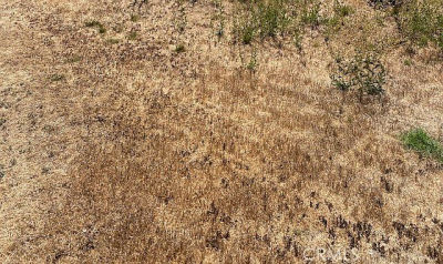 0 Sewanee Dr Borrego Springs, CA 92004