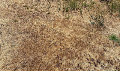 0 Vac Vic Ave LOT 33 Llano, CA 93544