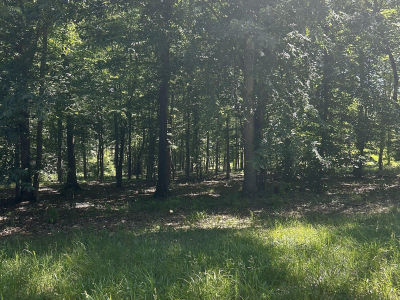 27 Sportsman Cv LOT 27 Huntingdon, TN 38344