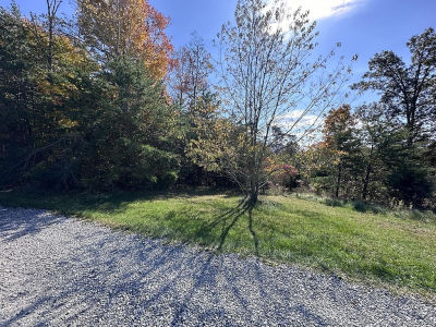 LOT 52 Bee Tree Dr Peterstown, WV 24963