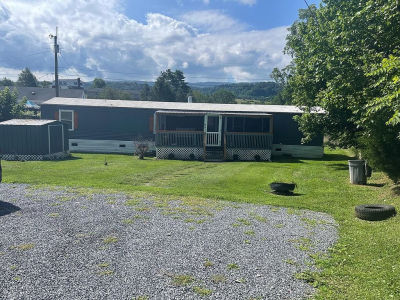 293 Old Fincastle Rd Lebanon, VA 24266