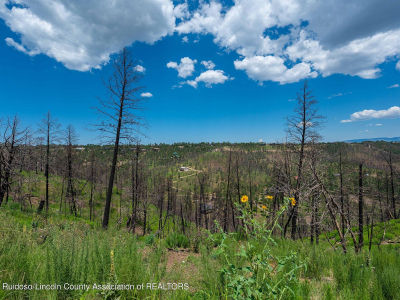 LOT 11 Gavilan Hills Rd Ruidoso, NM 88345