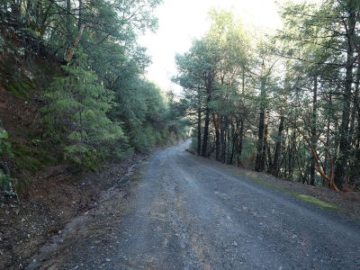 0 Kimlarry Ln Bella Vista, CA 96008