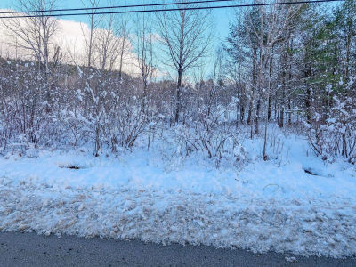 0 Town Farm Rd LOT 26 Ludlow, VT 05149