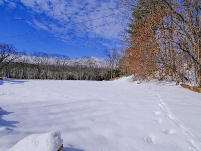 0 Prospect St #3 Ludlow, VT 05149