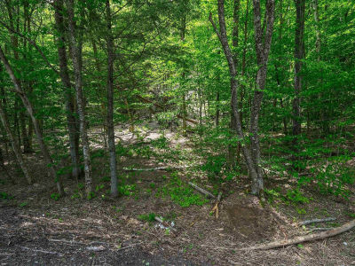 0 Route 100 N Plymouth, VT 05056