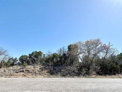 1207 Ridgeview Cir Granbury, TX 76048