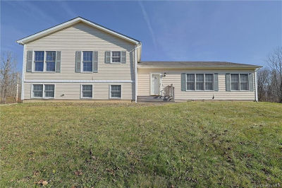 98 Black Creek Rd Esopus, NY 12528